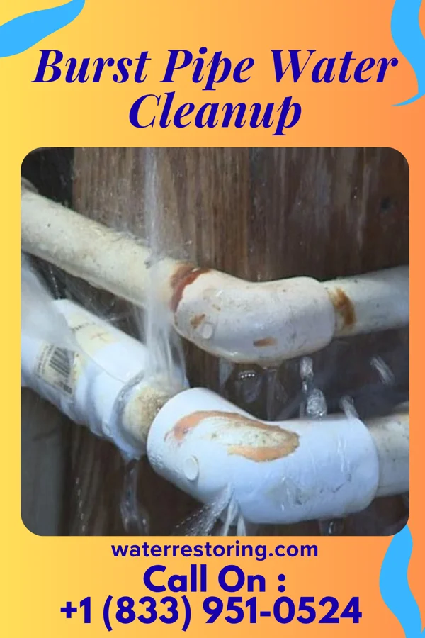 Burst Pipe Water Cleanup in Newton, NJ