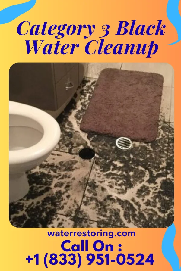Category 3 Black Water Cleanup in Newton, NJ