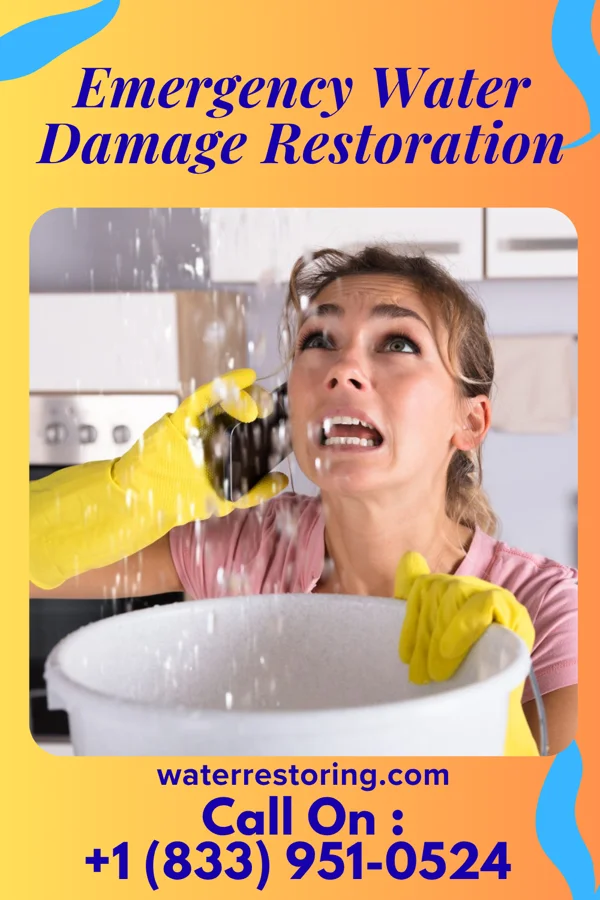 Emergency Water Damage Restoration in Newton, NJ