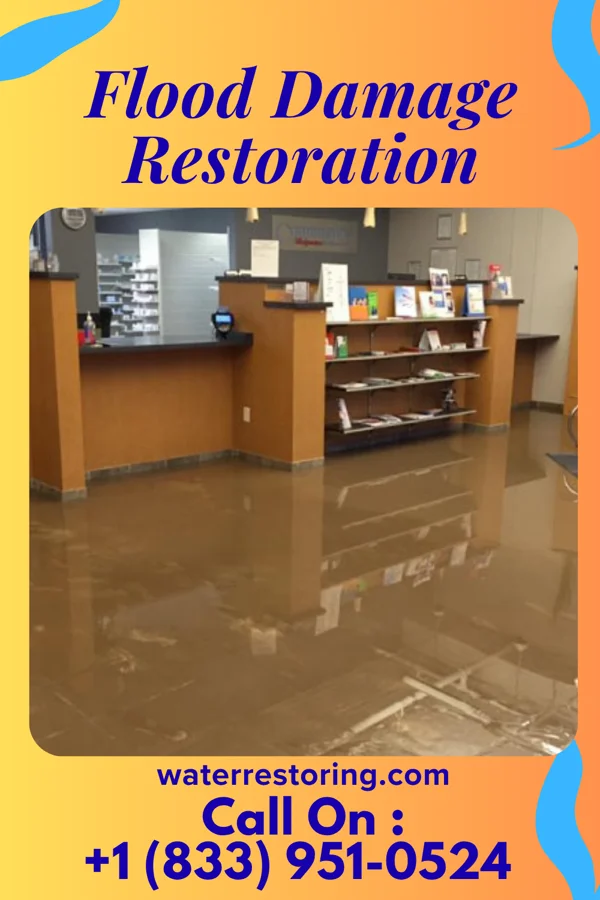 Flood Damage Restoration in Newton, NJ