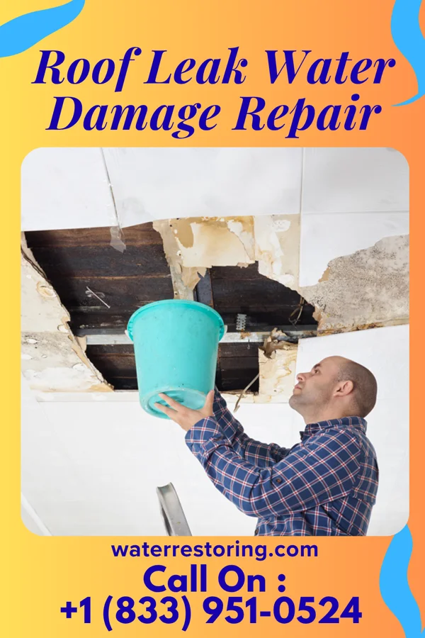 Roof Leak Water Damage Repair in Newton, NJ