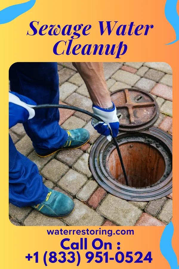 Sewage Water Cleanup in Newton, NJ