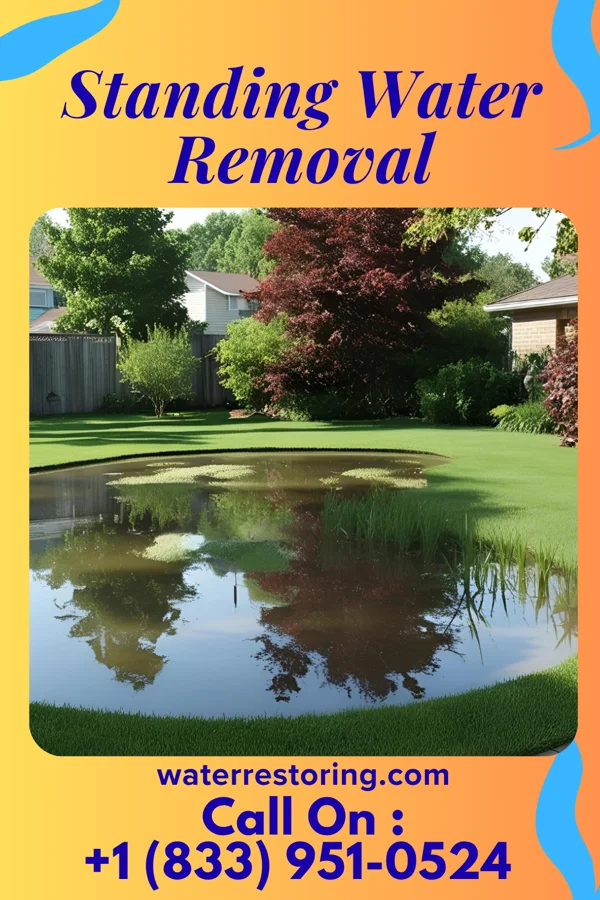 Standing Water Removal in Newton, NJ